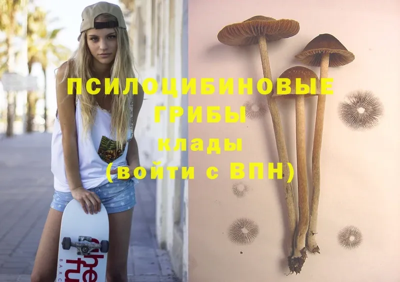 OMG онион  Краснослободск  Галлюциногенные грибы Psilocybe 